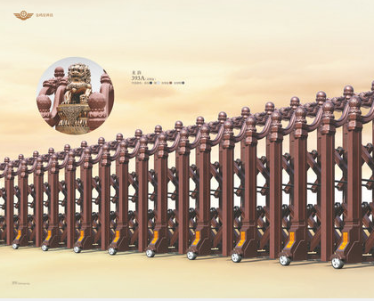 金鸿星89 郴州电动伸缩门