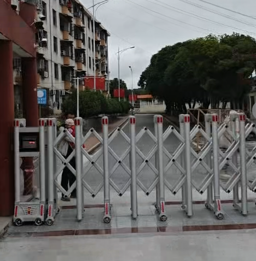 宜章三中电动门